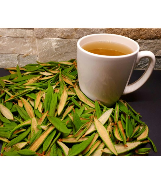 how much caffeine does labrador tea have in it