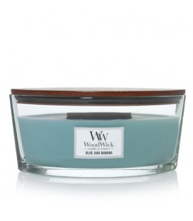 BOUGIE ELLIPSE CRÉPITANTE DE WOODWICK BLUE JAVA BANANA